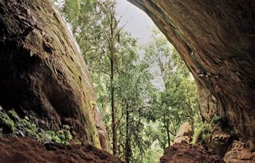 Experience 7 Days 6 Nights Negombo Tour Package