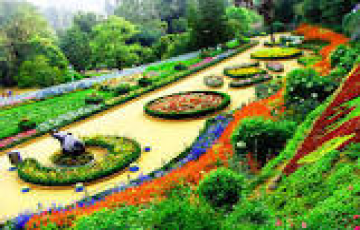 Ooty and Kodaikanal Hill Stations Family Tour