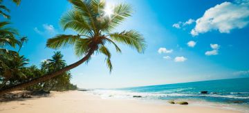 Experience 7 Days BANDARANAIKE INT AIRPORT COLOMBO to Colombo Tour Package