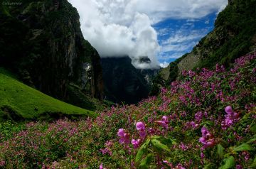 Amazing 7 Days Lachung off Trip Package