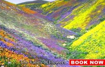 Beautiful 5 Days 4 Nights Joshimath Trek Tour Package