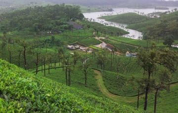 Magical Athirapally Tour Package for 3 Days 2 Nights