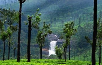 Magical Athirapally Tour Package for 3 Days 2 Nights