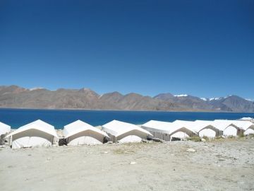 8 Days 7 Nights Leh to Sham Valley Tour Forest Trip Package