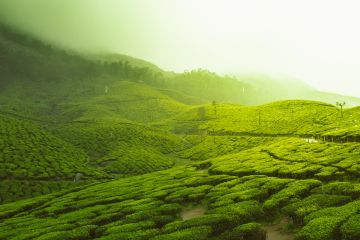 Coorg Wilderness Resort Madikeri India on Vimeo