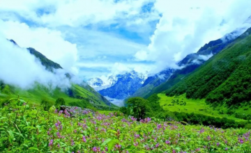 Experience 6 Days 5 Nights Rishikesh Trip Package