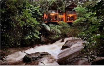 Magical Wayanad Resort Tour Package for 3 Days