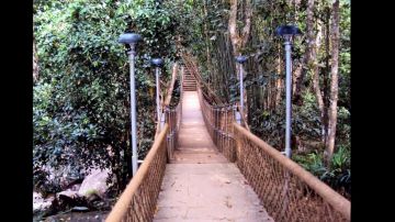 Magical Wayanad Resort Tour Package for 3 Days