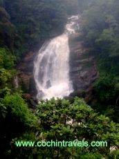 Ecstatic 5 Days 4 Nights Munnar Wildlife Trip Package