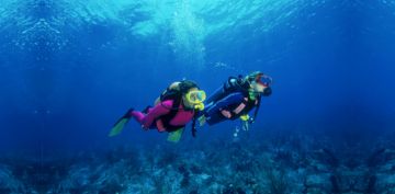 Beautiful 8 Days Delhi to Havelock Romantic Tour Package