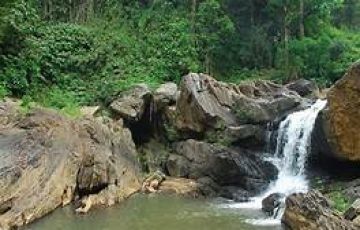 Ecstatic 4 Days Wayanadu to Wayanad Beach Holiday Package