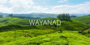 Wayanad Holidays From Kannur