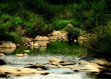 Experience 7 Days Munnar Historical Places Tour Package