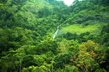 Ecstatic 5 Days Wayanad Romantic Trip Package