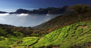 Magical 3 Days Kochi to Munnar Water Activities Trip Package