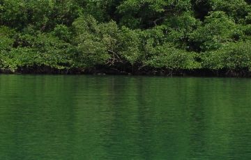 Amazing 6 Days 5 Nights Port Blair, Ross, NorthBay and Havelock Vacation Package