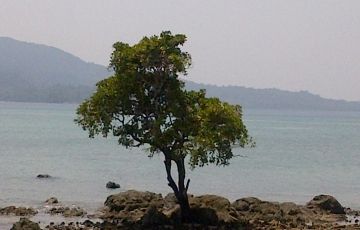 Heart-warming NorthBay Tour Package for 4 Days 3 Nights