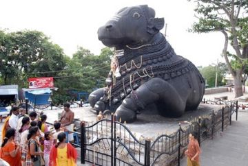 6 Days 5 Nights Mysore, Ooty and Coorg Offbeat Vacation Package