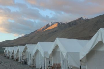 Experience 7 Days Ladakh Wildlife Trip Package