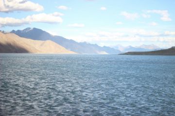Experience 7 Days Ladakh Wildlife Trip Package