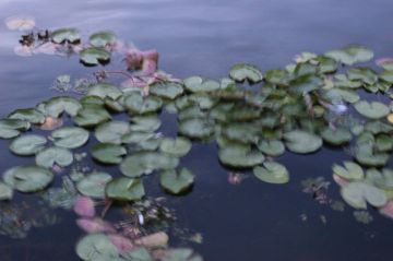 Magical 7 Days Delhi to Pahalgham Holiday Package