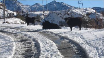 Sikkim Silk Route Virgin Places