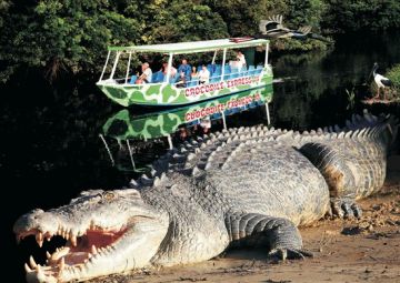 10 Days 9 Nights Sydney Water Activities Trip Package