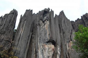 8 Days 7 Nights Murudeshwar Nature Tour Package