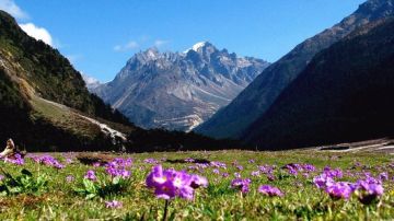 6 Days 5 Nights Lachung Family Vacation Holiday Package