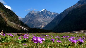 East Sikkim and North Sikkim