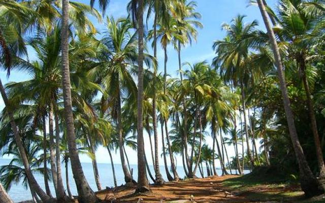 French Guiana  Trip Packages