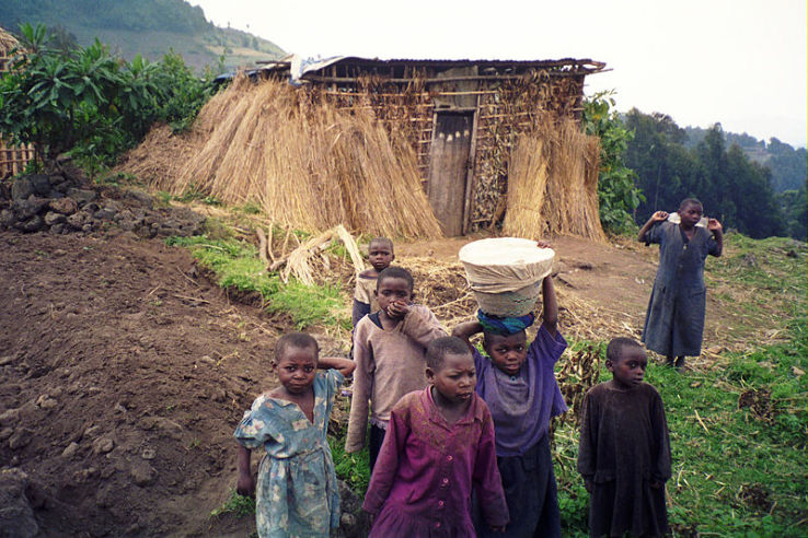Rwanda Trip Packages