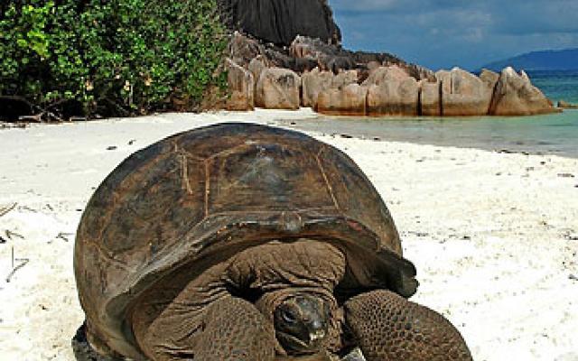 Seychelles Trip Packages
