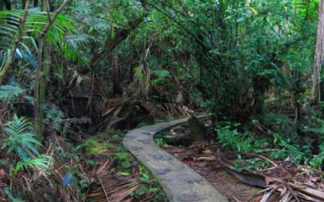 Puerto Rico  Trip Packages