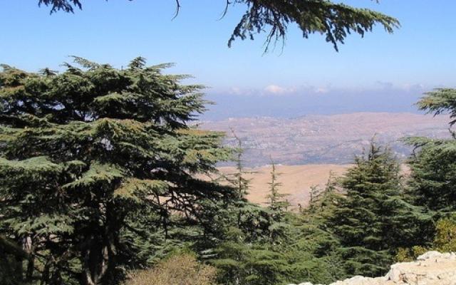 Lebanon Trip Packages