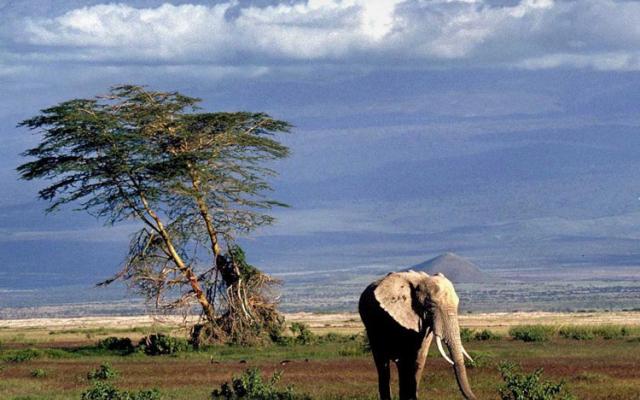 Tanzania Trip Packages