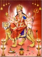 Namdhari Gaurav Navratri Utsav