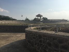 Shree Shiv Chhatrapati Sports