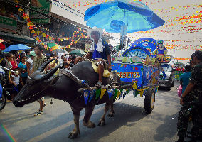 Pulilan Carabao Festival