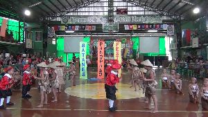 Palo Palo Festival