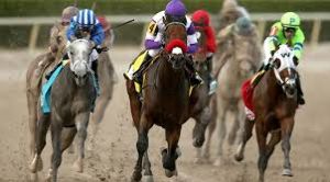 Custom Vip Preakness Stakes Packages