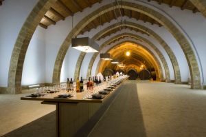 Discovering The Florio Cellars