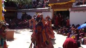 Sani Naro-nasjal 2108