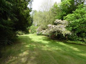 Open Gardens Weekend