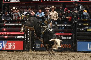 Professional Bull Riders