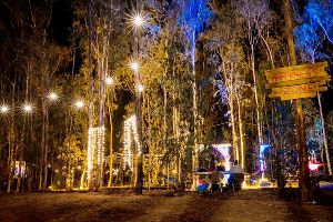 Echoes Of Earth Festival