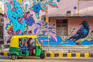 Lodhi Art District Curated Tour