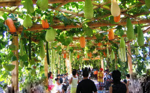 The China Food Expo