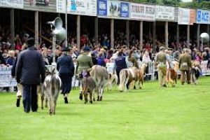 Turriff Show