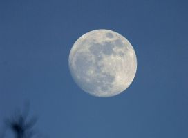 Full Moon Day Of Tagu